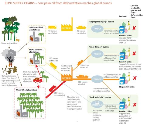 Choosing the Optimal Business Model for Palm Oil: