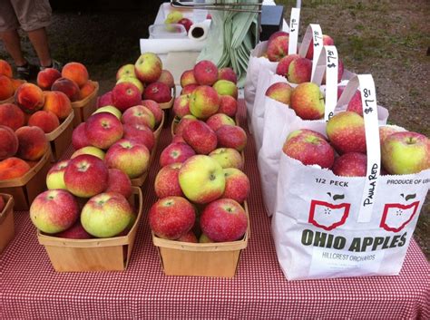 Choosing the Perfect Apple Varieties for Your Personal Orchard