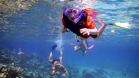 Choosing the Perfect Aquatic Experience: Discovering your Ideal Level of Thrills