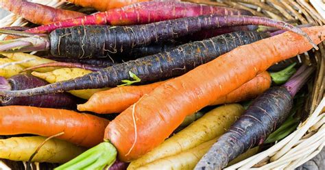 Choosing the Perfect Carrot Varieties for Your Thriving Vegetable Garden