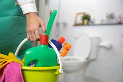 Choosing the Perfect Cleaning Products for a Pristine Bathroom