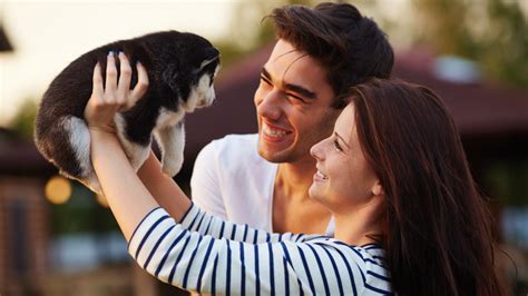 Choosing the Perfect Companion: Evaluating Your Lifestyle for the Ideal Pet