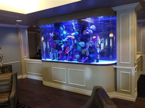 Choosing the Perfect Location for Your Aquarium