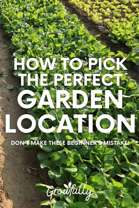 Choosing the Perfect Location for Your New Garden