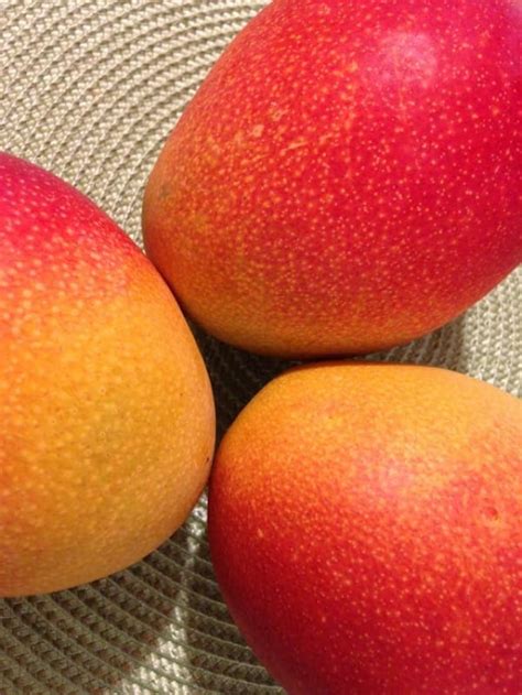 Choosing the Perfect Mango: What to Look for