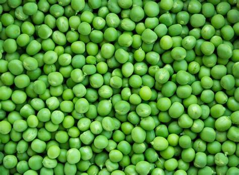 Choosing the Perfect Pea Varieties to Complement Your Luscious Green Space