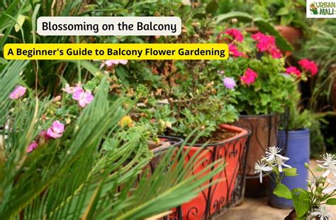 Choosing the Perfect Plants for Your Blossoming Landscape: A Beginner's Guide