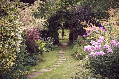 Choosing the Perfect Plants for Your Enchanting Garden