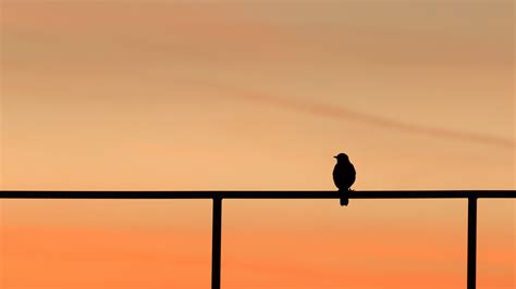 Choosing the Perfect Silhouette