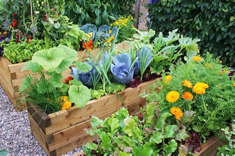 Choosing the Perfect Spot for Your Own Vegetable Garden