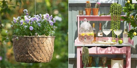 Choosing the Perfect Varieties to Add a Touch of Elegance to Your Garden