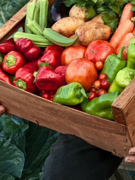 Choosing the Perfect Vegetables for Your Thriving Garden