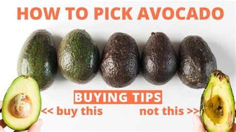 Choosing the Perfectly Ripe Avocado: Expert Advice for Selection