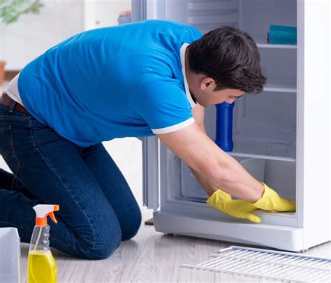 Choosing the Right Cleaning Products for Your Refrigerator