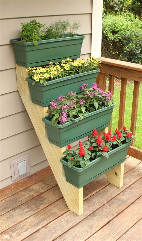 Choosing the Right Containers: Ensuring Your Plants' Comfort