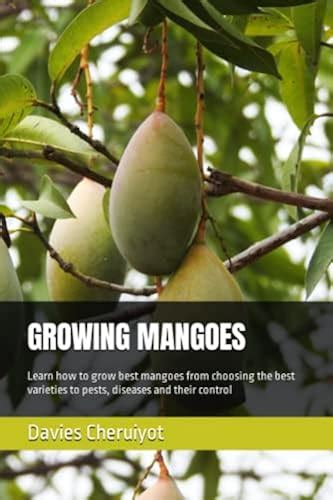 Choosing the Right Mango Variety