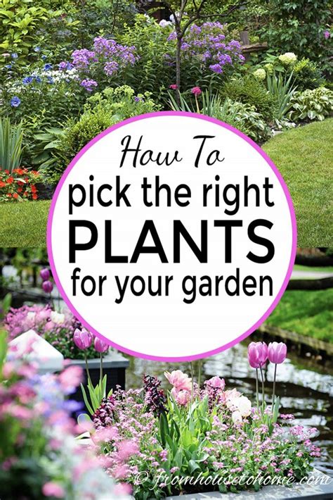 Choosing the Right Plants: Selecting Species for Your Outdoor Haven