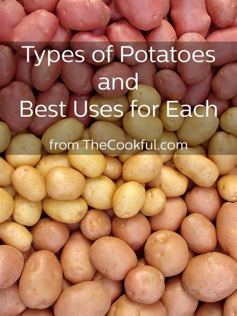 Choosing the Right Potato Varieties