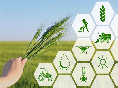 Choosing the Right Type of Agricultural Enterprise