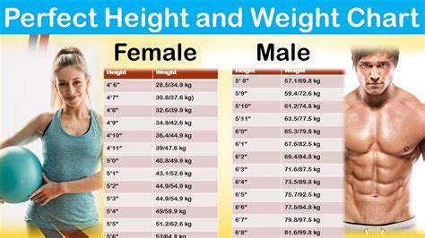 Christine Zegers: Tallness and Physical Stats