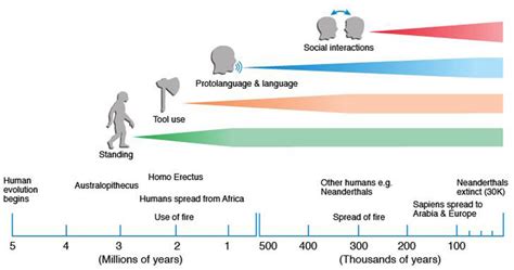 Chronological Advancement of Time