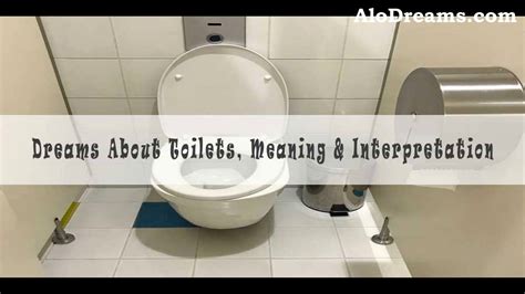 Cleansing the Psyche: Symbolism of Toilet Maintenance