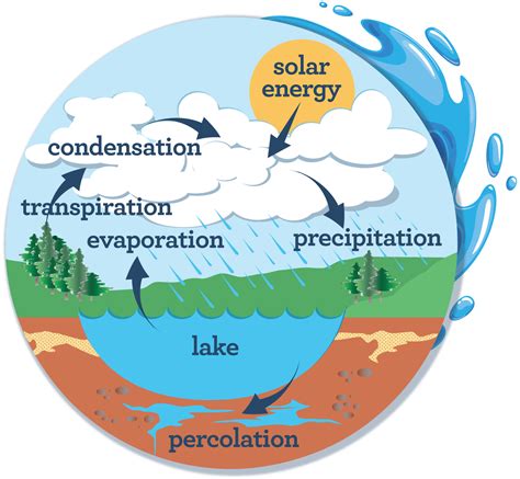 Clouds and their Importance in the Water Cycle