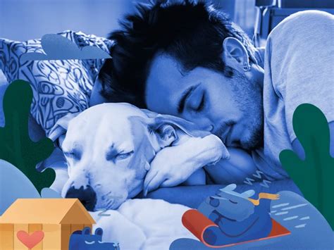 Common Dream Scenarios: What Do Canine Injuries Signify?