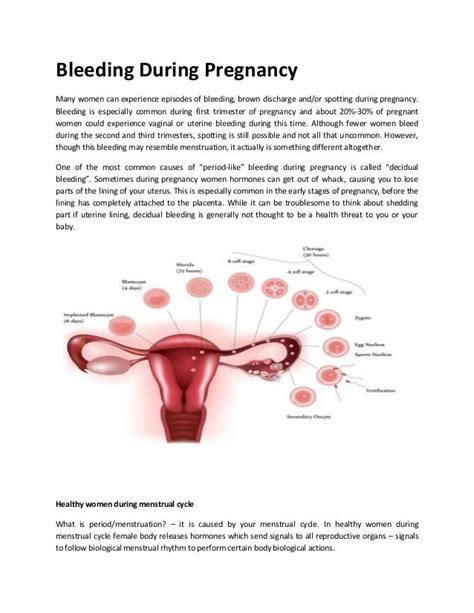 Common Feelings and Reactions Linked to Experiencing Hemorrhage Throughout Maternity