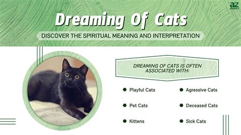 Common Meanings of Dreaming about Multiple Dark Felines