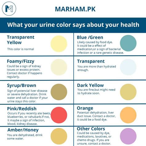 Common Medical Conditions Linked to Violet Urine