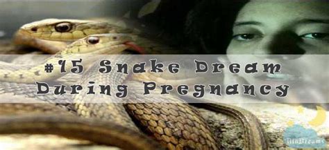 Common Reasons for Dreaming about Serpents during Pregnancy