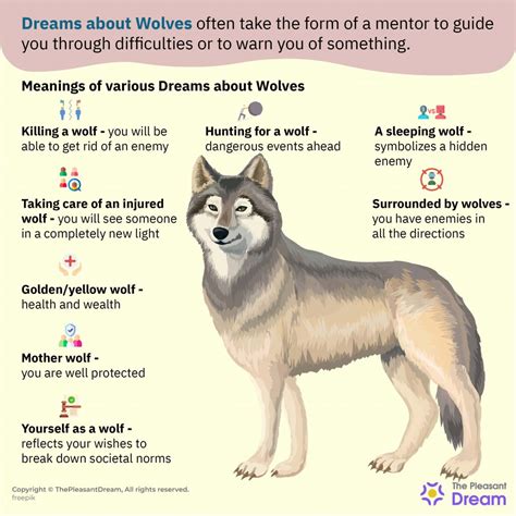 Common Themes: Exploring the Various Scenarios of Evading Wolves in Dreamscapes