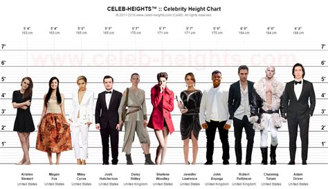 Comparing Ciera Lin's Height to Other Celebrities