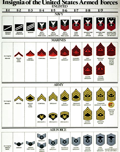 Comparing Mia Military with Other Armed Forces Personnel