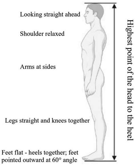 Comparison of Stature Between Masha and Mariya