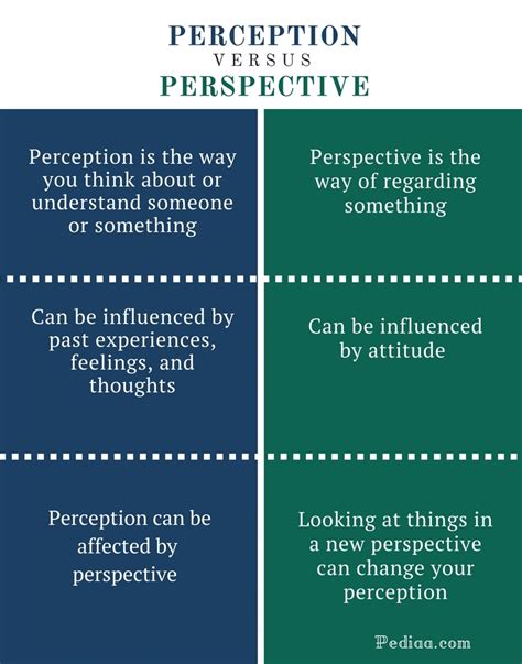 Comparisons and Perspectives