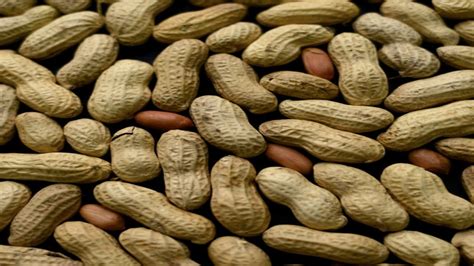 Concerns about Health and Allergies associated with Peanuts