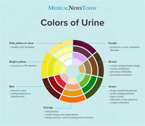 Conditions Associated with Urine Coloration