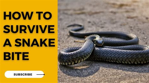 Confronting a Fear: The Harsh Reality of Surviving a Brutal Snake Bite