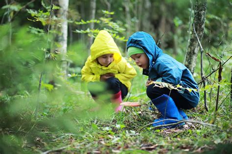 Connect with the Natural World and Experience the Thrill of Exploring the Outdoors