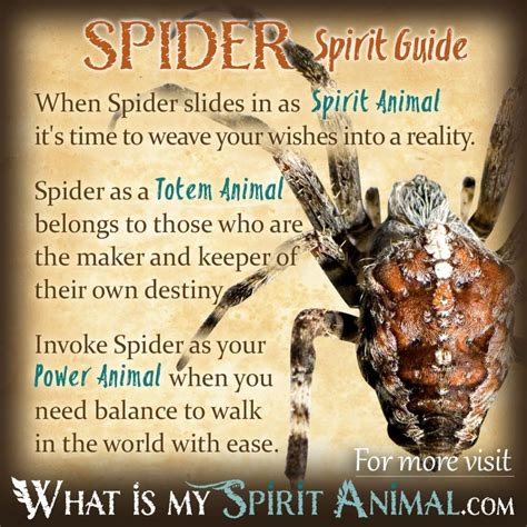 Connecting Dreams to Emotional States: Understanding the Symbolism of the Spider