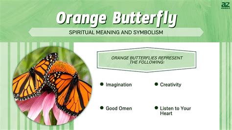 Connecting with Nature: Butterflies as a Spiritual Sign