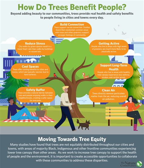 Connecting with Nature: The Significance of Trees in Urban Environments