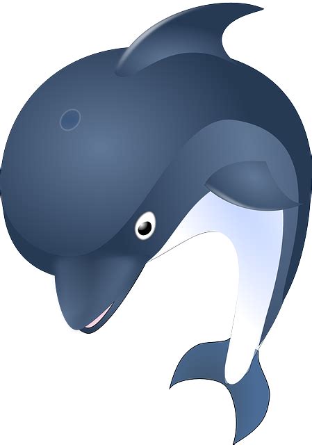 Connecting with Your Inner Self: Insights from an Enormous Dolphin Vision