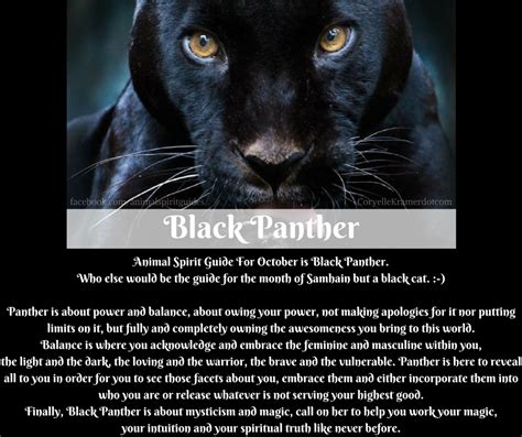 Connecting with the Spirit of the Panther