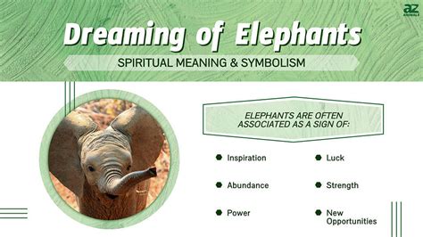 Connecting with the Spiritual Realm: The Symbolism of Elephants in Dreams