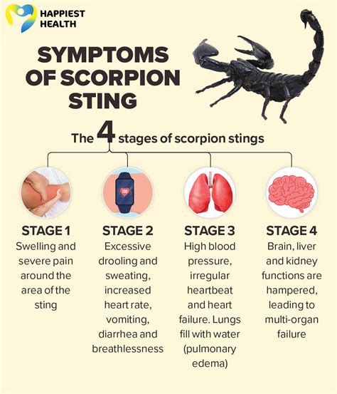 Conquering Fear and Anxiety: Dealing with Dreams of Scorpion Stings