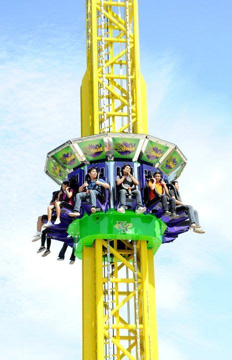 Conquering Fear in Dreamland: Using Dysfunctional Amusement Rides as a Metaphor for Overcoming Life's Obstacles