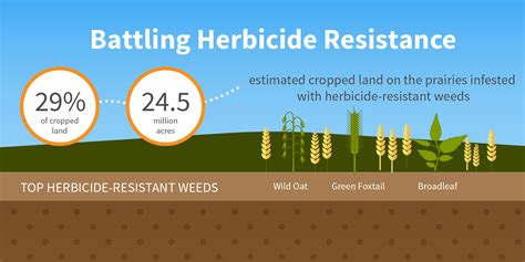 Conquering Resilient Weeds: Strategies for Resistant Plant Growth